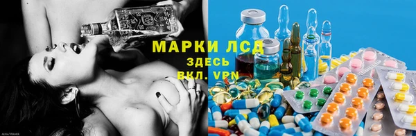 бошки Верея