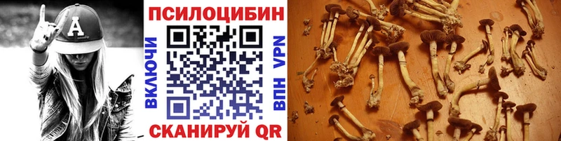 цена Копейск Псилоцибиновые грибы GOLDEN TEACHER